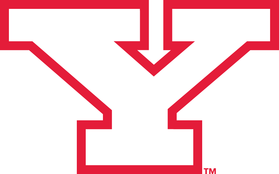 Youngstown State Penguins 1993-Pres Alternate Logo v2 diy iron on heat transfer